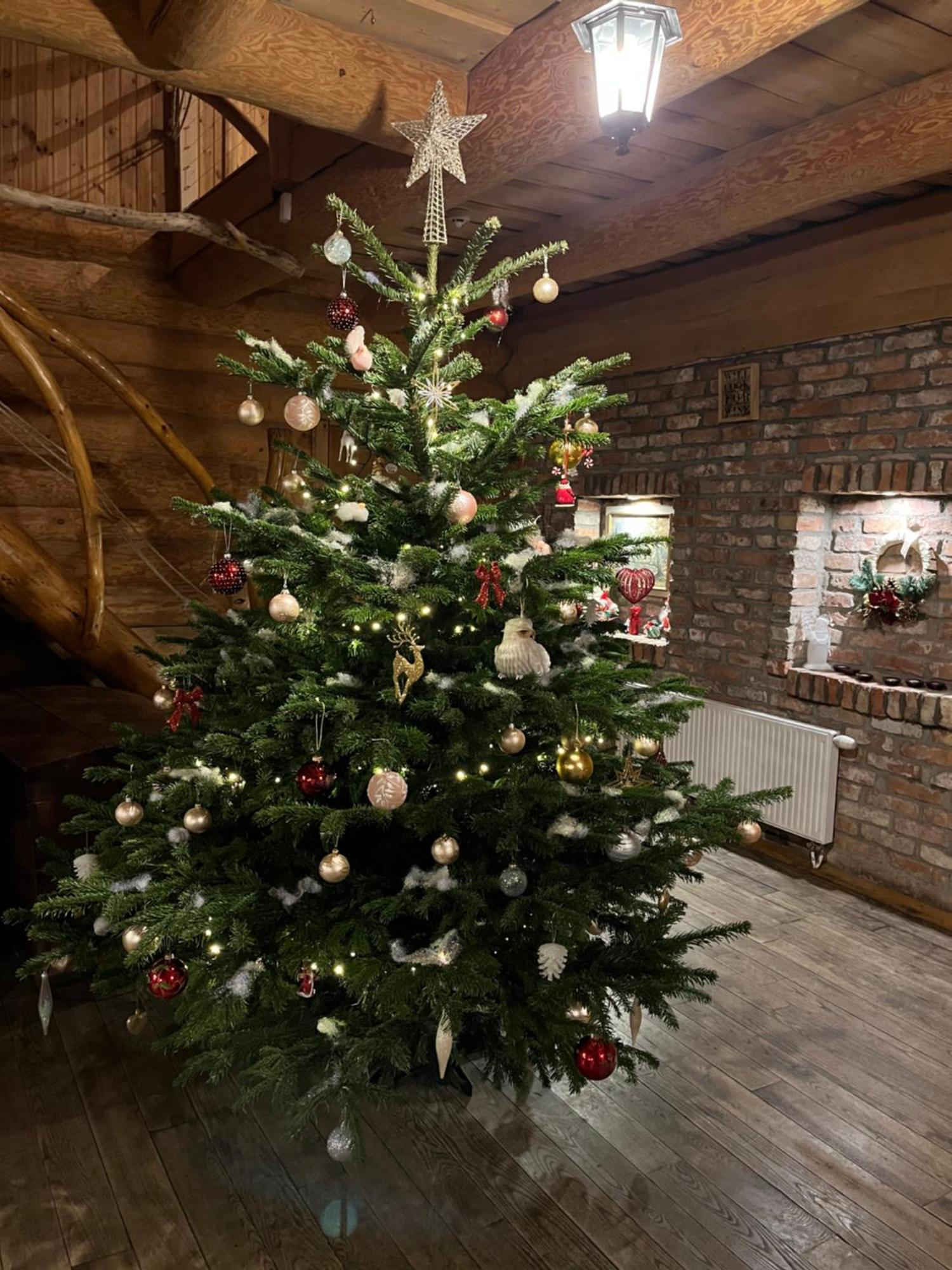 Viesu Nams Valodzes Hotel Sigulda Kültér fotó